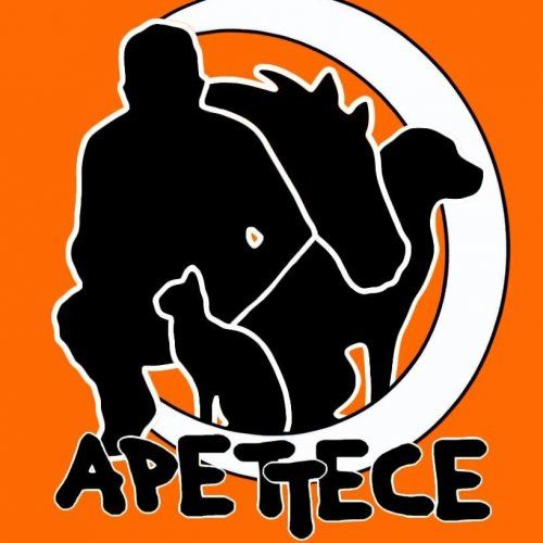 Terapia Asisitida con Perros de APETTECE